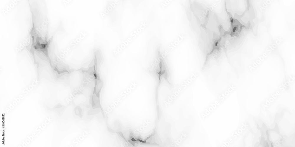 White marble texture and background. black and white marbling surface stone wall tiles and floor tiles texture. vector illustration.
White marble texture and background. black and white marbling surface stone wall tiles and floor tiles texture. vector illustration.