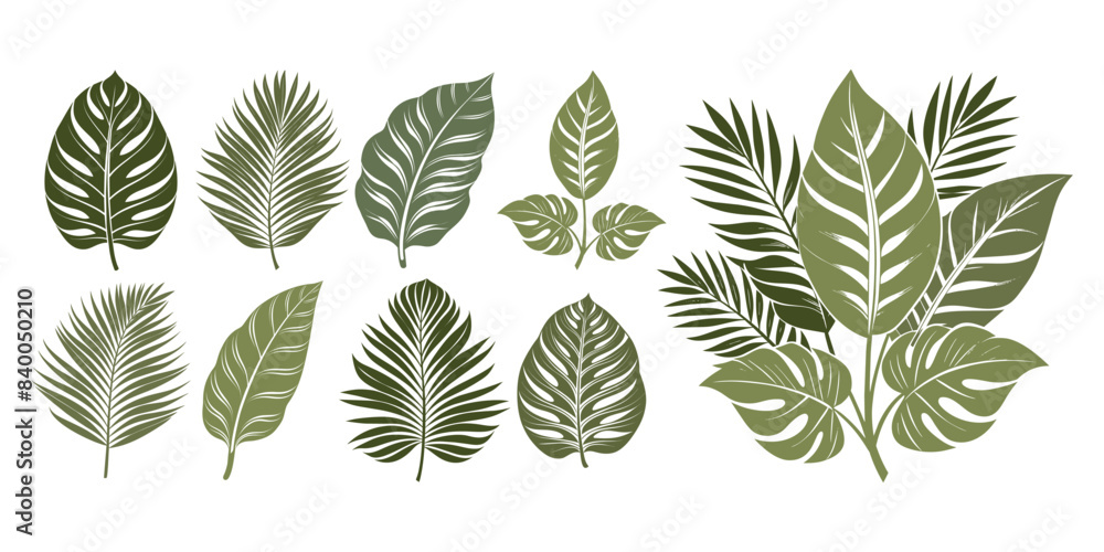 Set of silhouettes of tropical leaves and bouquets. Summer cover template. Design elements collection Set of silhouettes of tropical leaves and bouquets. Summer cover template. Design elements collection