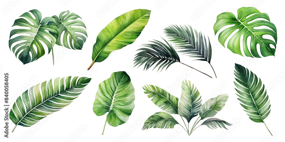 Watercolor tropical leaves set Watercolor tropical leaves set