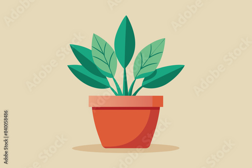 potted plant vector illustration