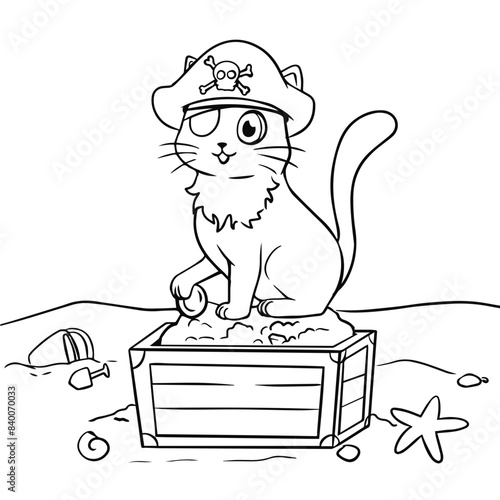 Pirate Cat with His Treasure