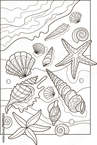 Seashells on the beach sand. Coloring book antistress for children and adults. Vector illustration