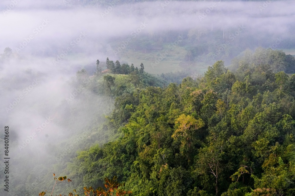 the atmosphere of the mountain with mist in the morning the atmosphere of the mountain with mist in the morning