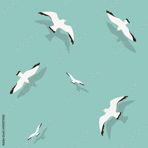 Summer white seagulls artwork, mid century modern art, greeting card, blue background (ID: 840079810)