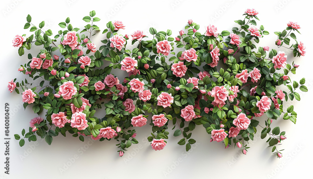 Fototapeta premium Climbing Roses on White Trellis