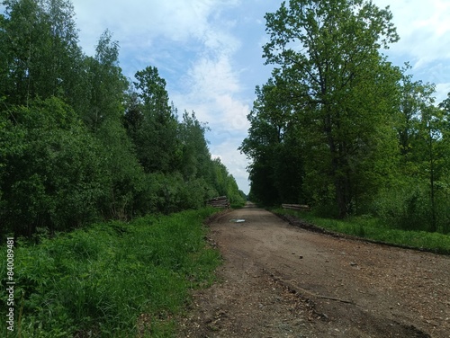 Road in forest in Siauliai county during sunny summer day. Oak and birch tree woodland. Sunny day with white clouds in blue sky. Bushes are growing in woods. Sandy road. Nature. Summer season. Miskas. photo