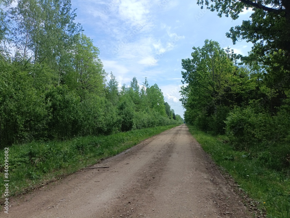Road in forest in Siauliai county during sunny summer day. Oak and birch tree woodland. Sunny day with white clouds in blue sky. Bushes are growing in woods. Sandy road. Nature. Summer season. Miskas. Road in forest in Siauliai county during sunny summer day. Oak and birch tree woodland. Sunny day with white clouds in blue sky. Bushes are growing in woods. Sandy road. Nature. Summer season. Miskas.