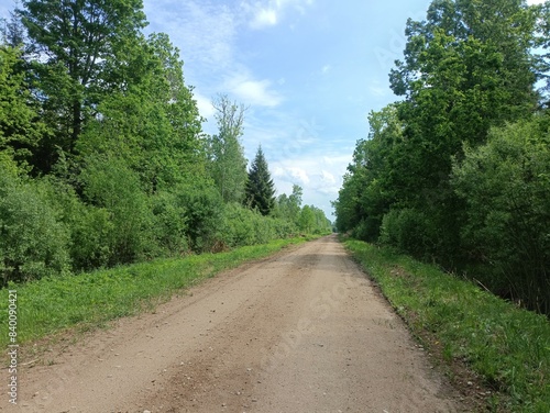 Road in forest in Siauliai county during sunny summer day. Oak and birch tree woodland. Sunny day with white clouds in blue sky. Bushes are growing in woods. Sandy road. Nature. Summer season. Miskas.