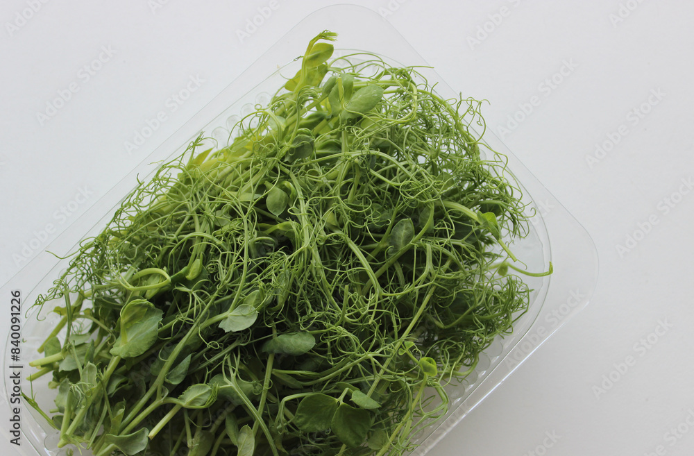 Closeup View Of Pea Microgreens Bunch In A Plastic Transparent Container On White Surface. Stock Photo For Healthy Diet Illustration
