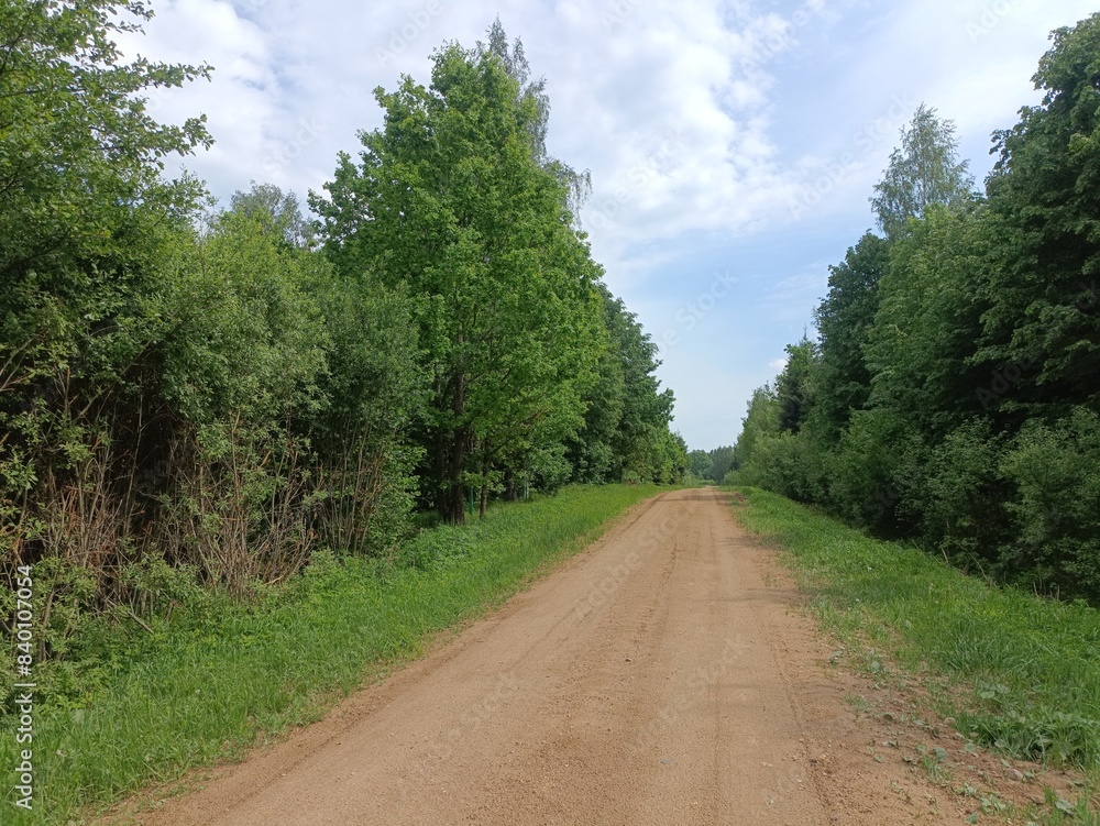 Road in forest in Siauliai county during sunny summer day. Oak and birch tree woodland. Sunny day with white clouds in blue sky. Bushes are growing in woods. Sandy road. Nature. Summer season. Miskas. Road in forest in Siauliai county during sunny summer day. Oak and birch tree woodland. Sunny day with white clouds in blue sky. Bushes are growing in woods. Sandy road. Nature. Summer season. Miskas.
