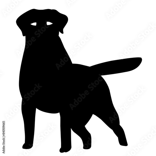 Dog
watch
hunting 
good 
black 
Vector dog
