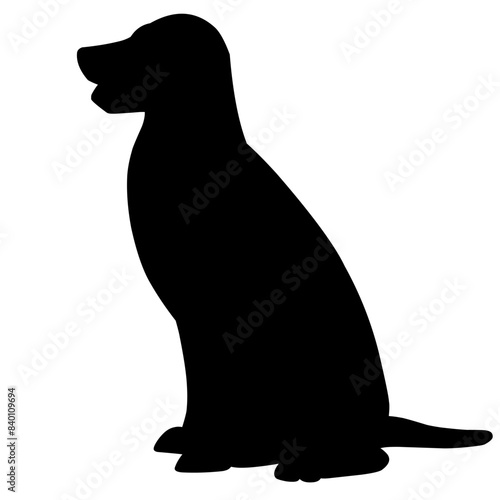 Dog
watch
hunting 
good 
black 
Vector dog