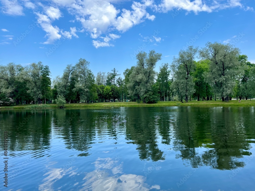 Fototapeta premium Green trees and sky reflection on the water surface, pond in the park