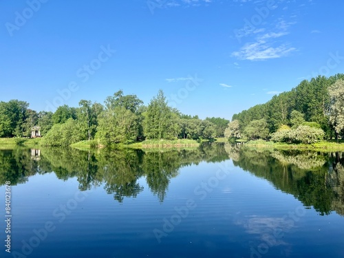 Green trees and sky reflection on the water surface, pond in the park