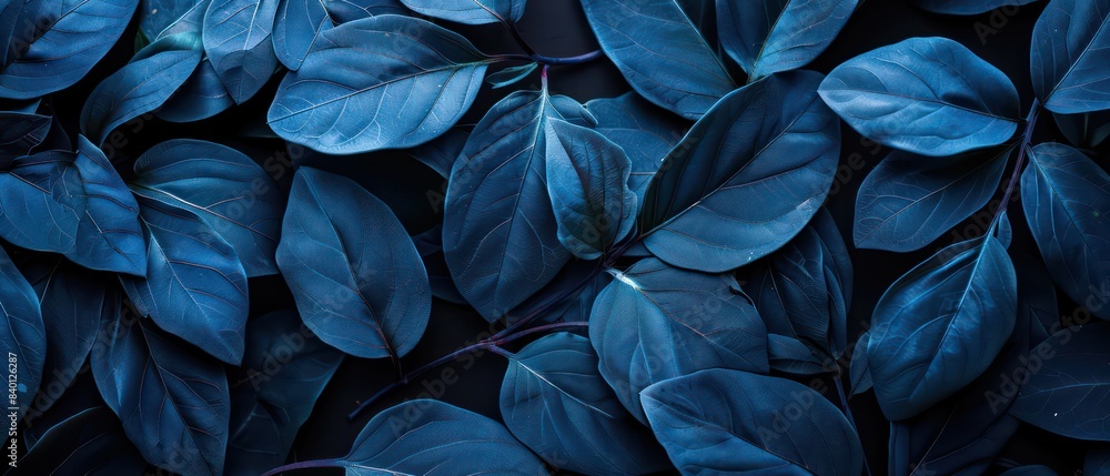 green leaves on black background green leaves on black background