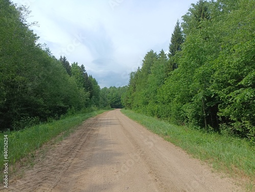 Road in forest in Siauliai county during sunny summer day. Oak and birch tree woodland. Sunny day with white clouds in blue sky. Bushes are growing in woods. Sandy road. Nature. Miskas.