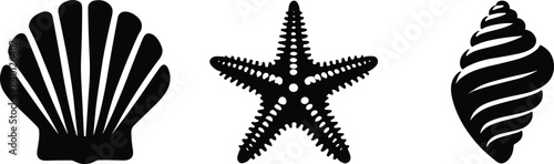 Set of sea shells, vector illustration.