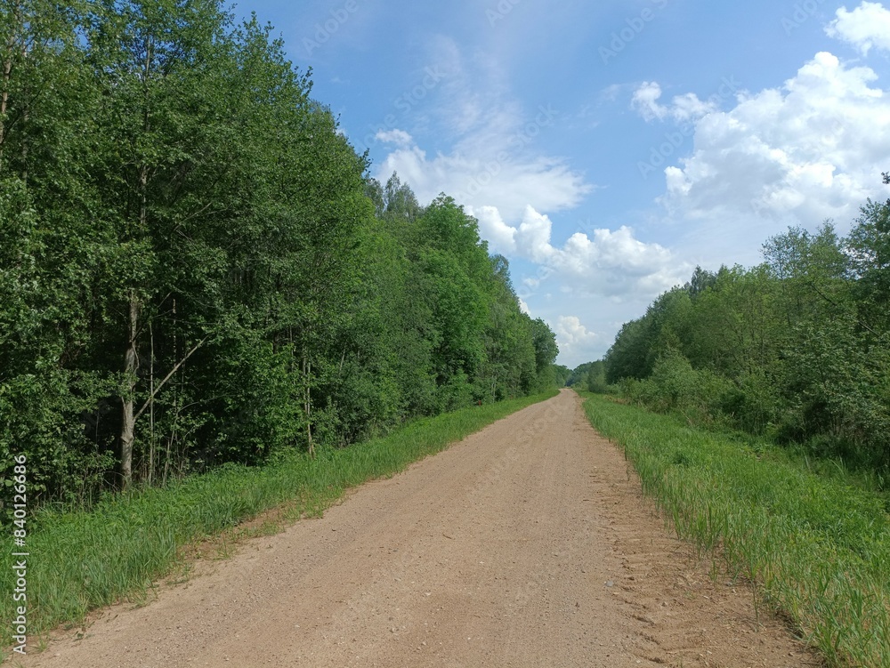 Road in forest in Siauliai county during sunny summer day. Oak and birch tree woodland. Sunny day with white clouds in blue sky. Bushes are growing in woods. Sandy road. Nature. Miskas. Road in forest in Siauliai county during sunny summer day. Oak and birch tree woodland. Sunny day with white clouds in blue sky. Bushes are growing in woods. Sandy road. Nature. Miskas.