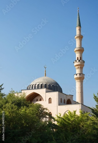 a large white building with a blue dome photo