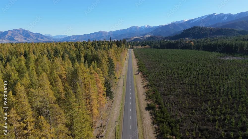 Empty highway past autumn forest in valley against mountains Empty highway past autumn forest in valley against mountains