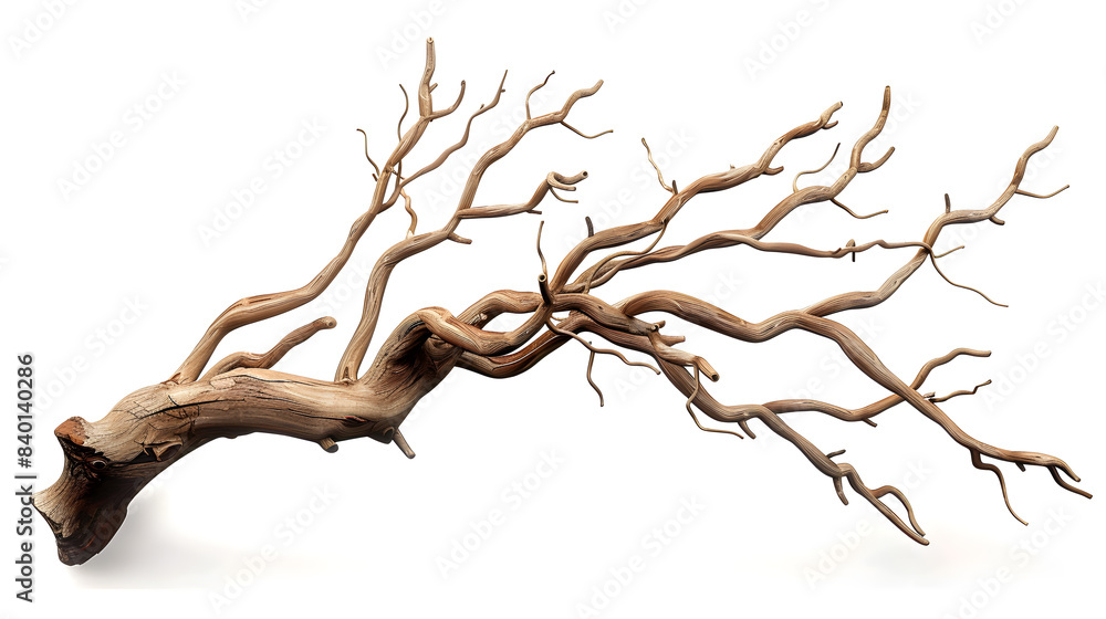Brown Tree branch with no leaves isolated on white background Brown Tree branch with no leaves isolated on white background
