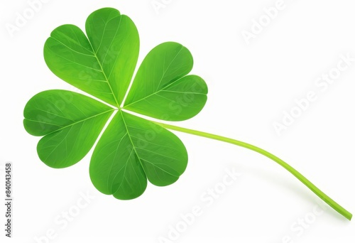 a four leaf clover on a white background