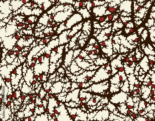 Branches of Blackthorn. Vector drawing