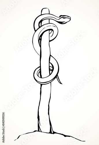 The serpent on the pole. Vector drawing