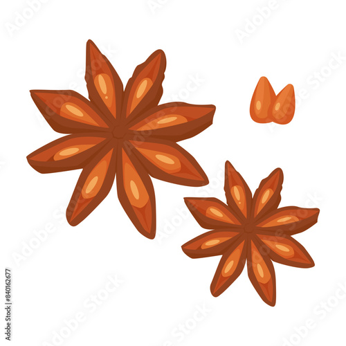 Illustration vector graphic of star anise