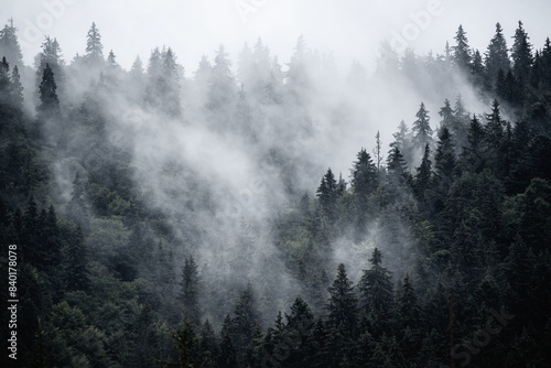 Misty mountain landscape