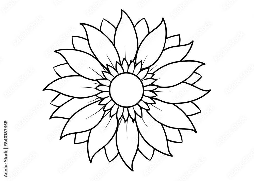 Sunflower vector line art illustration Sunflower vector line art illustration
