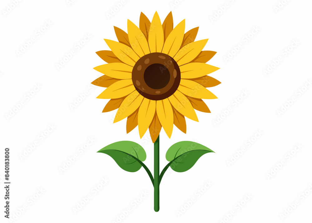 Obraz premium Sunflower vector illustration 