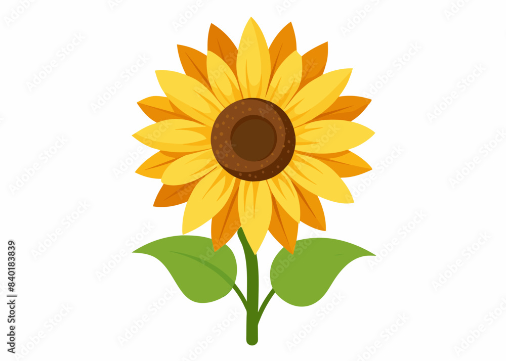Obraz premium Sunflower vector illustration 