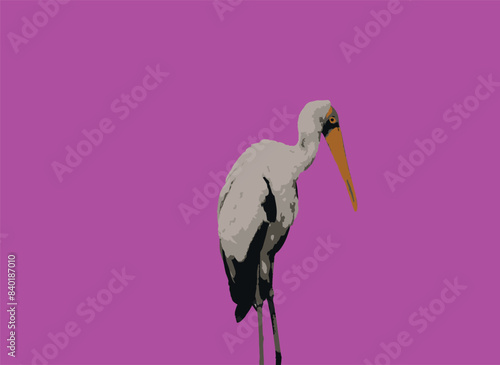 Adobe Illustrator Artwork - Yellow Billed Stork on pink background