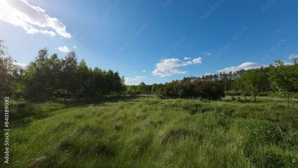 Spring weather and green nature in a low drone flight. Spring weather and green nature in a low drone flight.