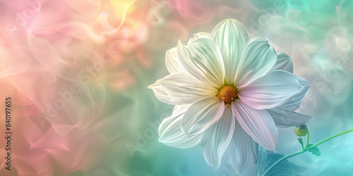 Soft focus on delicate white flower with a dreamy pastel bokeh background, capturing the essence of spring and the gentle beauty of nature in a serene and ethereal setting..