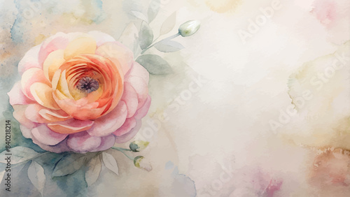 Minimalist watercolor background of ranunculus flowers