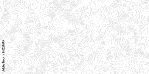 White wave paper curved reliefs abstract background. The topographic map contour in lines isolated. Abstract white topographic map background with lines. Background of the topography map.