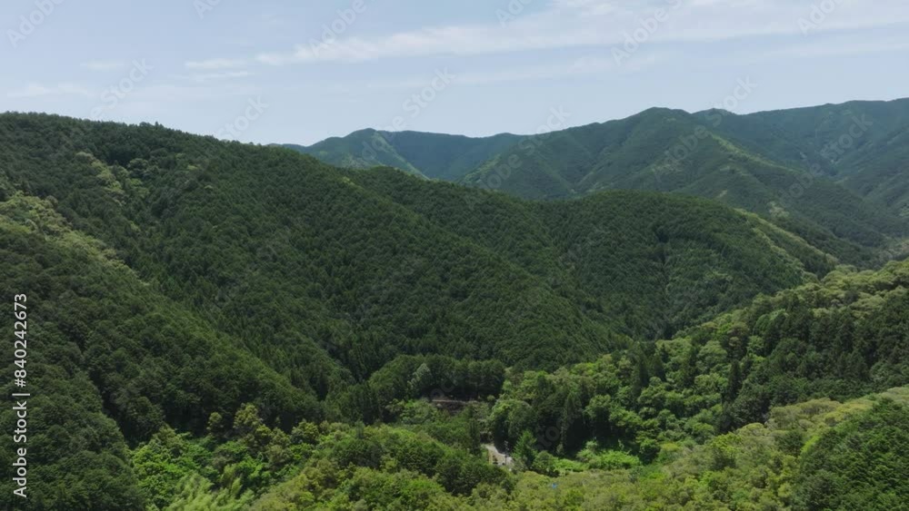 緑に溢れる初夏の山 | 高知 緑に溢れる初夏の山 | 高知