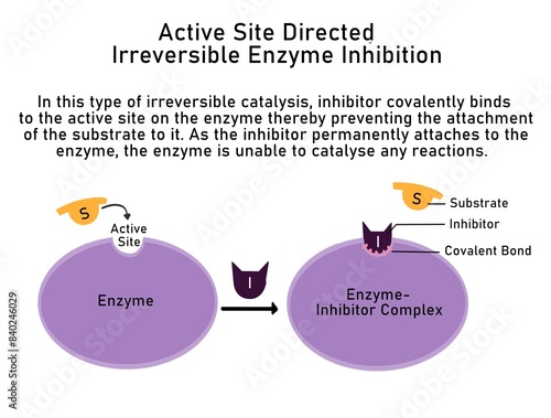 Active site directed irreversible enzyme inhibition
