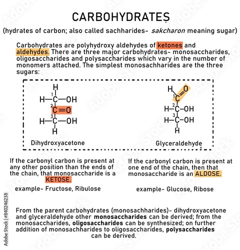 Introduction to carbohydrates
