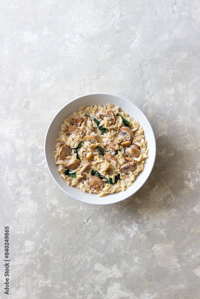 Orzo pasta with mushrooms and spinach. Italian Cuisine. Vegetarian food. Orzo pasta with mushrooms and spinach. Italian Cuisine. Vegetarian food.