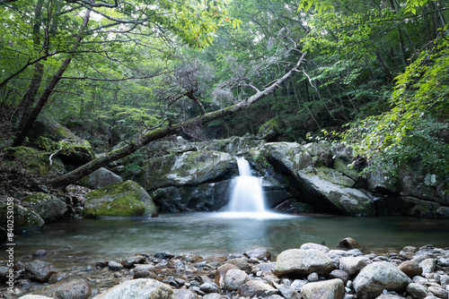 지리산 계곡