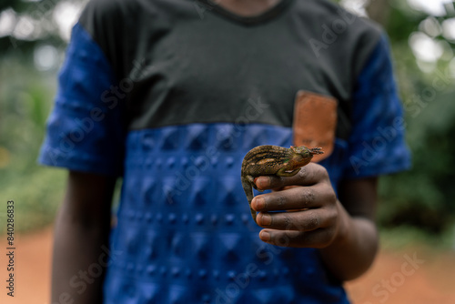 African man holding a cute chamaleon on hand photo