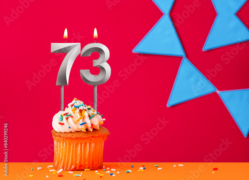 Birthday cupcake with candle number 73 on a red background with blue pennants