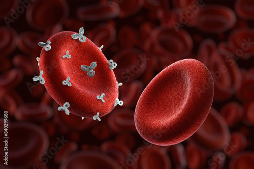 Rhesus Rh positive and negative factor red blood cells, key in blood typing for transfusions, pregnancies, involves genetics, immunology, healthcare, antibody responses. Rhd protein antigen medical 3D photo