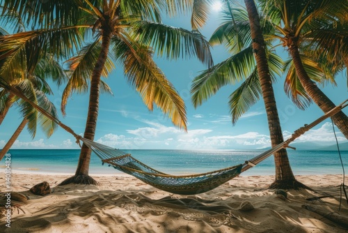 Hammock between two palm trees on a tropical beach