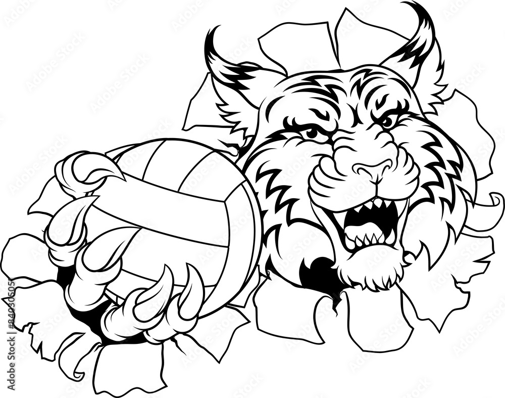 Wildcat Cougar Lynx Lion Volleyball Claw Mascot Wildcat Cougar Lynx Lion Volleyball Claw Mascot