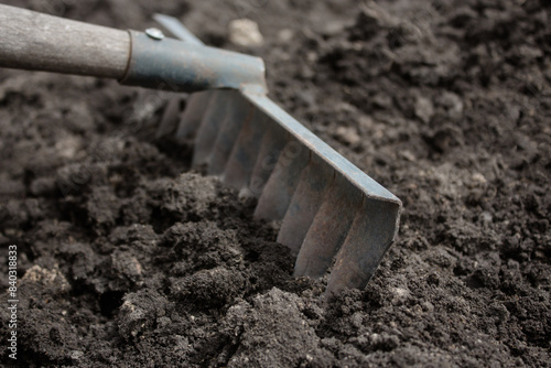 Loosening the soil with a rake, preparing for planting seedlings