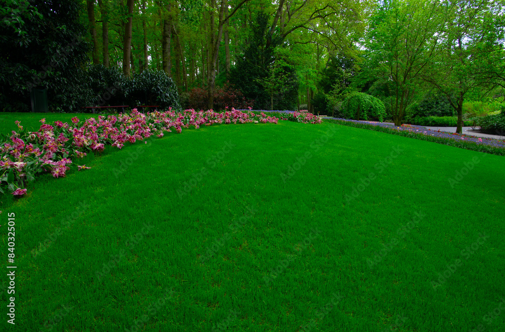 Obraz premium Garden with blooming spring flowers